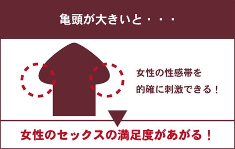 ちんこカリとは|カリ高の方が気持ち良い？カリ高の測り方や定義とな。